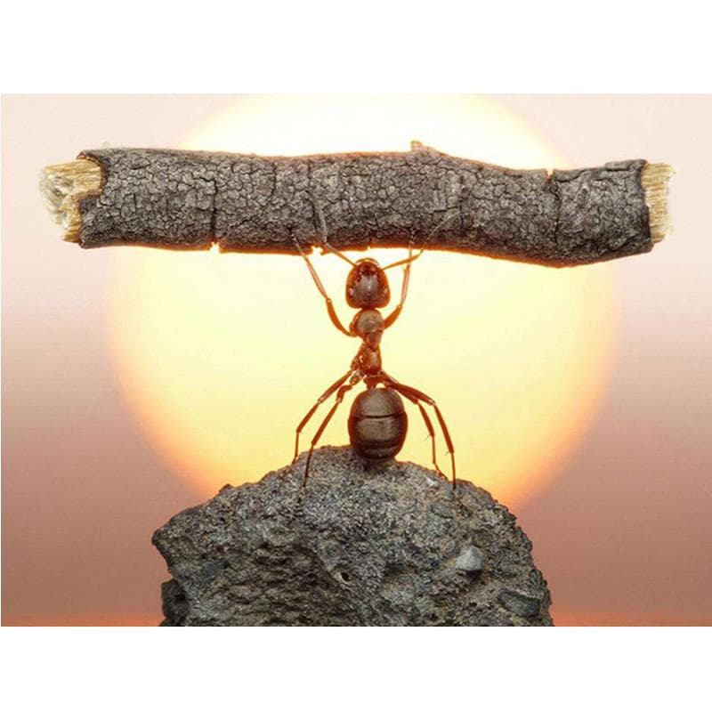 Diamond Painting Art Gift Embroidery Kits Bright Rhinestones Strong Ant Diamond Embroidery Wall Arts 20X30CM