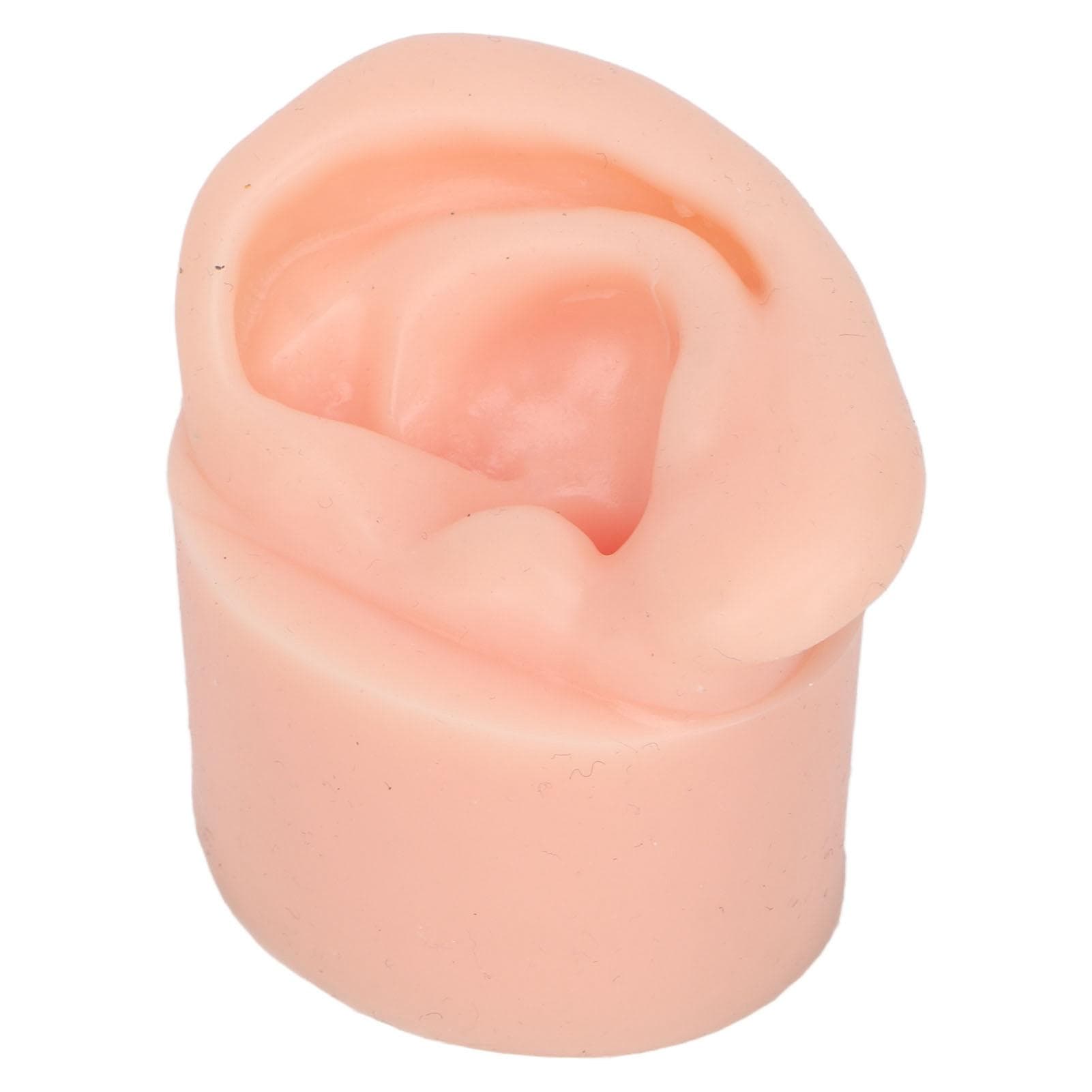 Silicone Ear Model Flexible Soft Reusable High Simulation Piercing Ear Model for Education Display