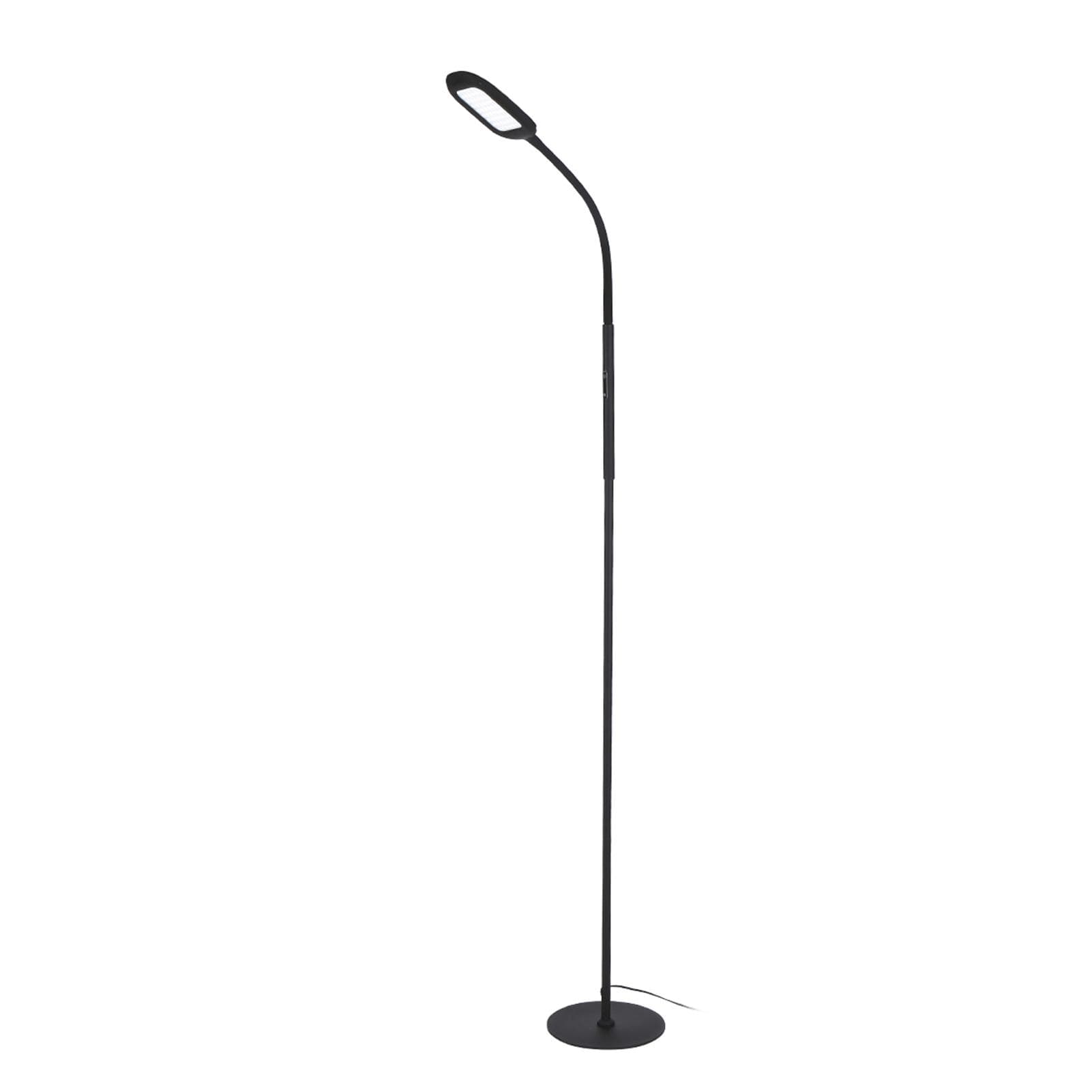 Tomshine LED Floor Lamp Remote & Touching Control High Lumens Reading Standing Light 4 Color EU Adapter black