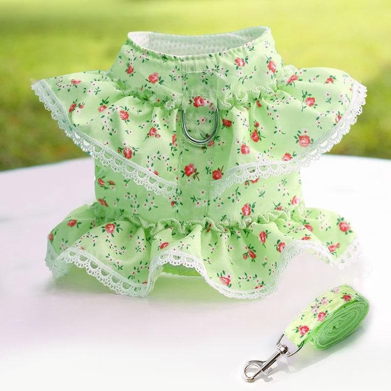 Leash for Small Dogs Dog Vest Harness and Leash Set Breathable Nylon Small Dog Harness and Leads for Chihuahua Yorkshire Teddy with Blet L(5-7.5kg) green