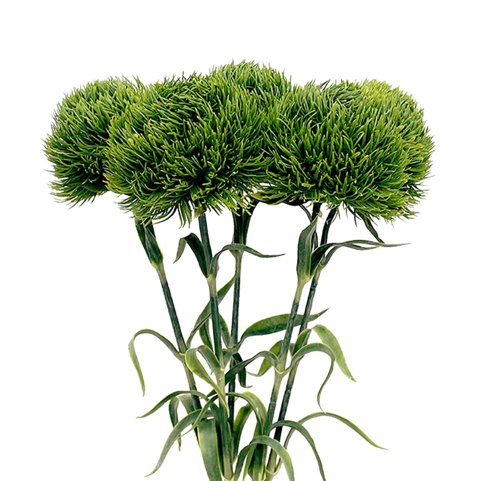 Green Artificial Dandelion Fadeproof Versatile Soft Fake Greenery Plant for Home Decoration Flower dark green