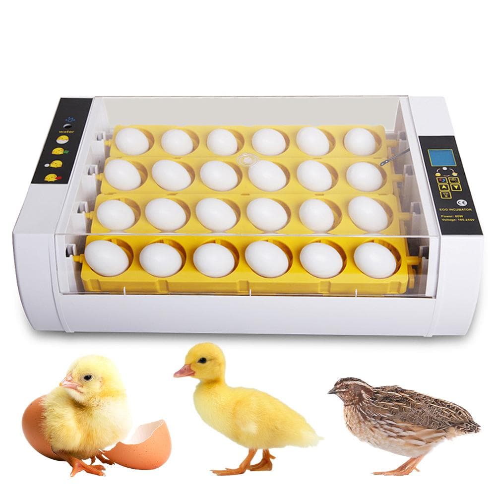 24 Eggs Incubator with Automatic Egg Turning, Humidity Control and Egg Candler Light, EU Plug