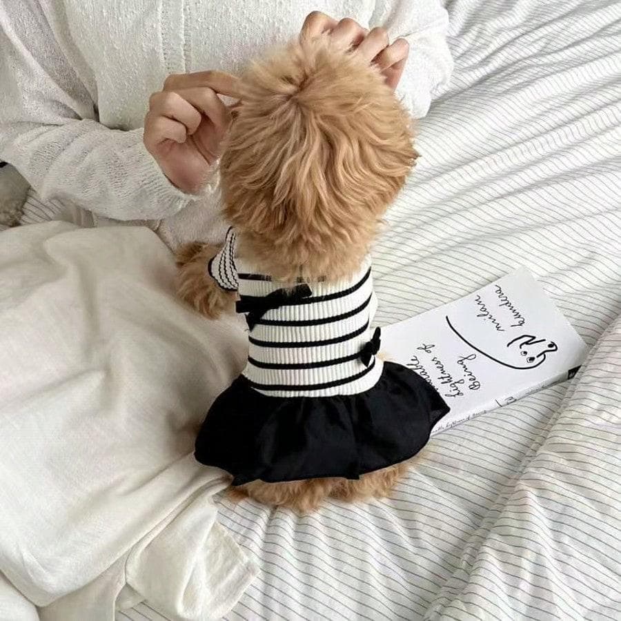 Pet Clothes Striped Simple Breathable Summer Dog Dress for Small Pets XL