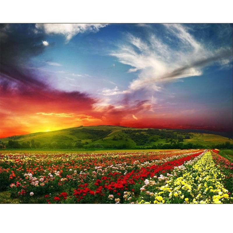 Diy Hand Made Diamond Embroidery Painting Exquisite Stitch of Mosaic Flower Field Picture Home Decor 20X30CM