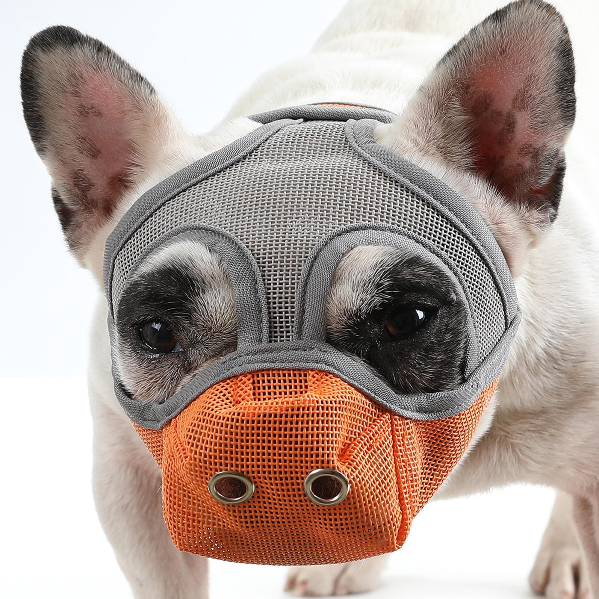 Dog Muzzle Breathable Mesh for Short Snout Dogs Prevent Biting Barking Small orange/grey