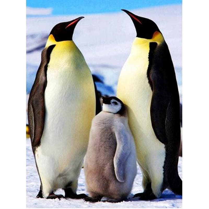 5D Diamond Painting Penguin Cross Stitch Diamond Embroidery Animal Rhinestone 20X30CM