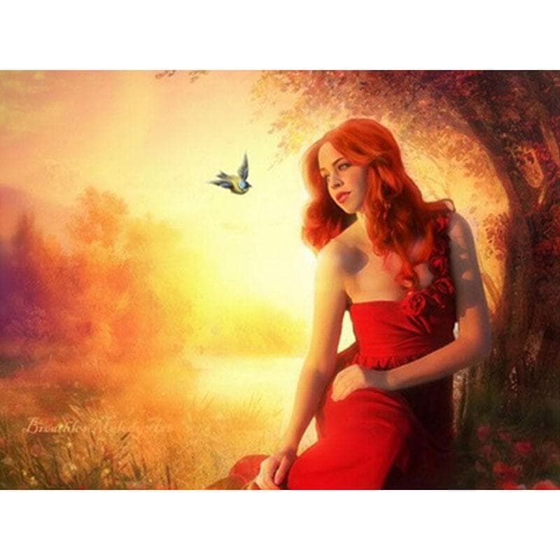 Embroidery 5d Diy Diamond Painting Drill Rhinestone bird and red cloth woman Decor Painting 20X30CM