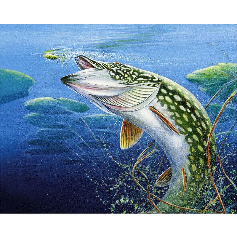 Diamond Painting Beautiful Fish Cross Stitch Mosaic Cartoon Daimond Embroidery Round Round Drill 20X30CM
