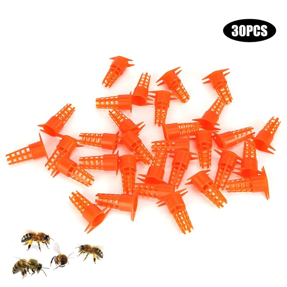 30pcs Plastic Bee Queen Cage Protective Cover Queen Rearing Cup Beekeeping Equipments Tools