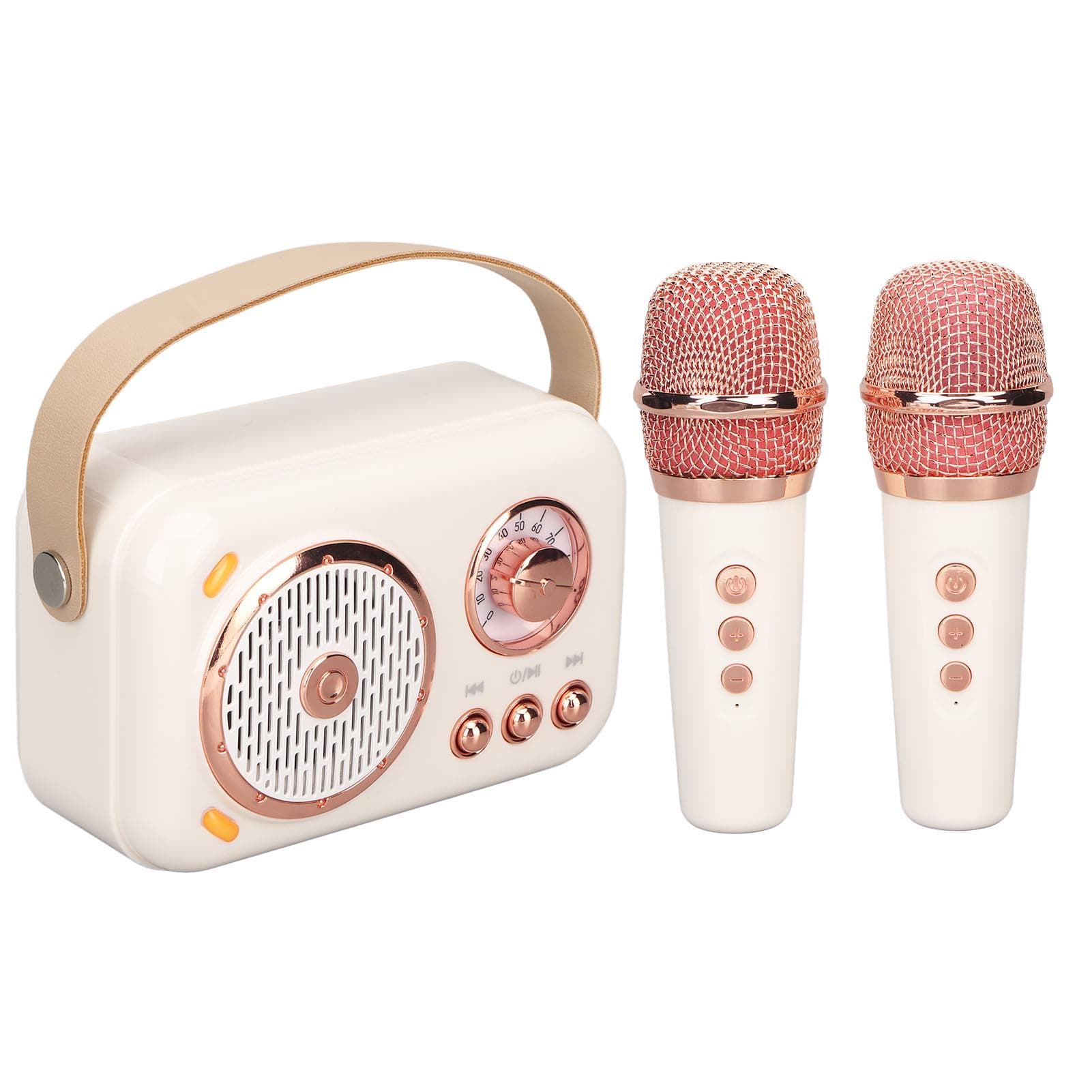 Karaoke Machine Multifunction Enhanced Bass 6 Modes Portable Bluetooth PA Speaker System with Mic