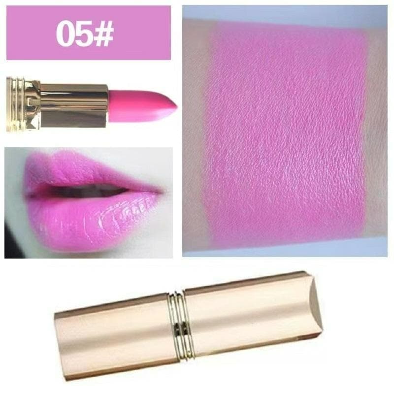 Lipstick Waterproof Long Lasting Red Lipsticks Resistant Rose Lip Stick Velvet Lipstick Cosmetic Girl Women Makeup