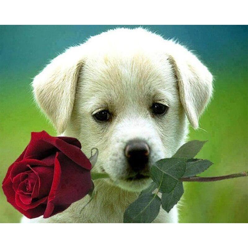 5D DIY Full Round Diamond Painting Rose Dog Diamond Embroidery Cross Stitch 20X30CM