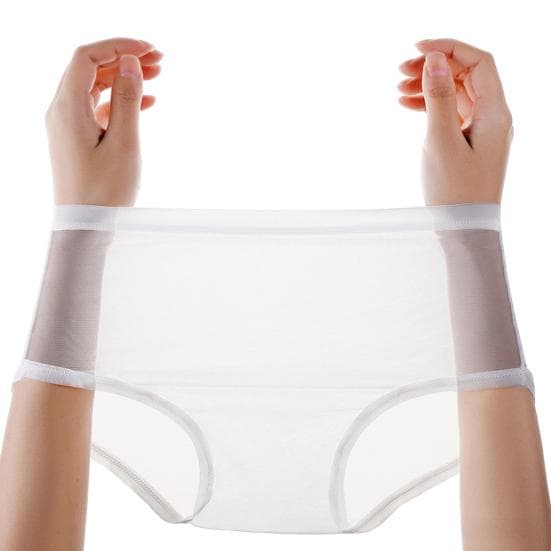Sexy Transparent Panties for Women Plus Size See Through Mesh Sheer Underwear Seamless Mid Rise Thin Briefs L
