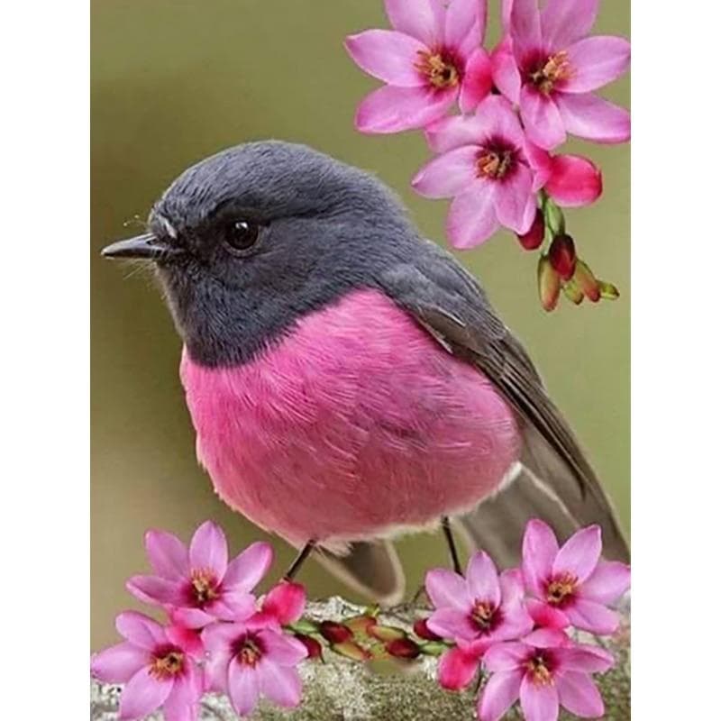New 5D DIY Diamond Painting Bird Diamond Embroidery Animals Cross Stitch Full Square Round Drill Crafts Home Decor Manual Gift Full Round 30x40CM