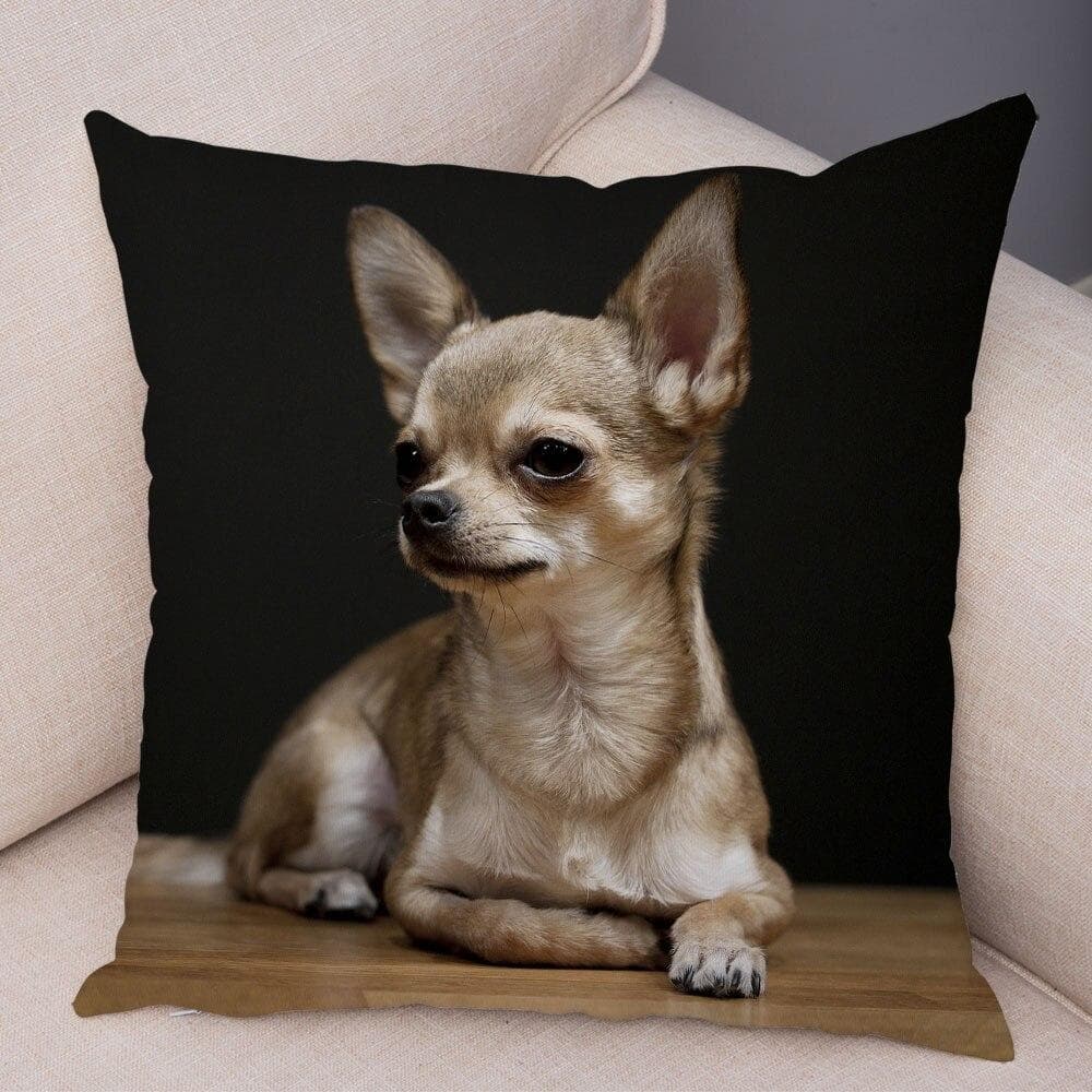 Cute Pet Animal Pillowcase Decorative Cute Puppy Chihuahua Pillowcase Soft Plush Cushion Cover for Car Sofa Home 45x45cm 45x45cm