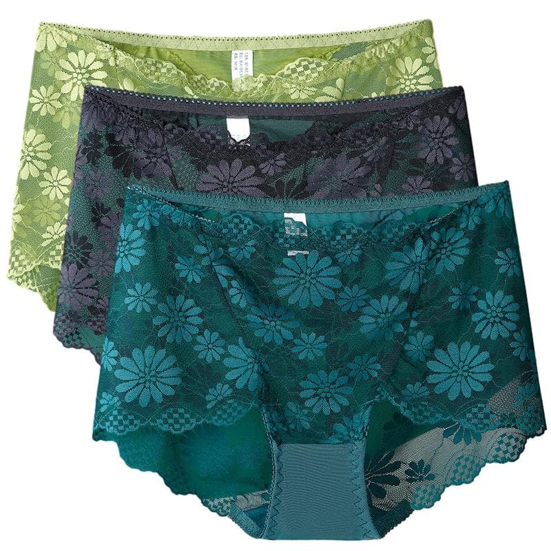 3Pcs  Sexy Lace Panties High-Rise Briefs Silk Seamless Women's Underwear Transparent Lingerie Size L-XXL 4XL