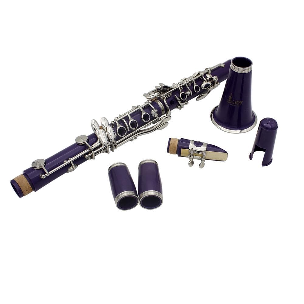 Clarinet ABS 17 Key Bb Flat Soprano Binocular Clarinet with 10 Reeds Case purple