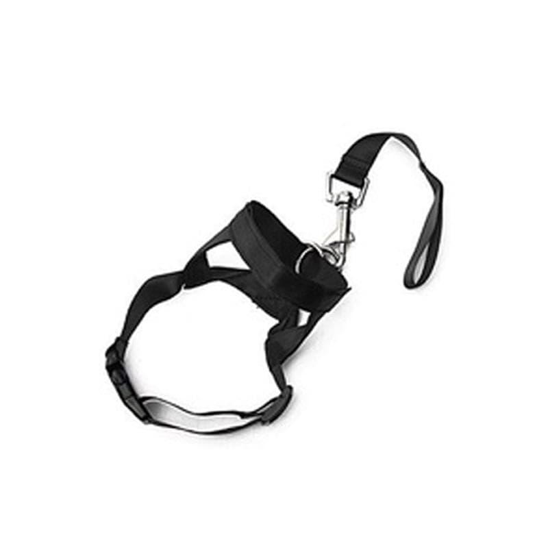 Dog Pet Head Collar Gentle Halter Leash Leader No Pull Straps for Training Dogs Pet Dog Head Halter Training Collar? M black