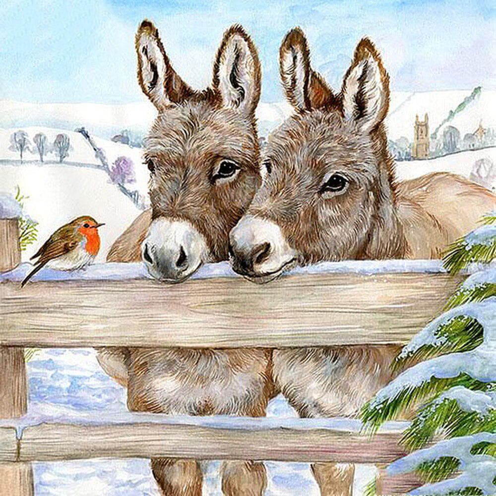 5D DIY Diamond Painting Donkey and Bird Animals Embroidery Cross Stitch Rhinestone Home Decor Gift 30x30CM