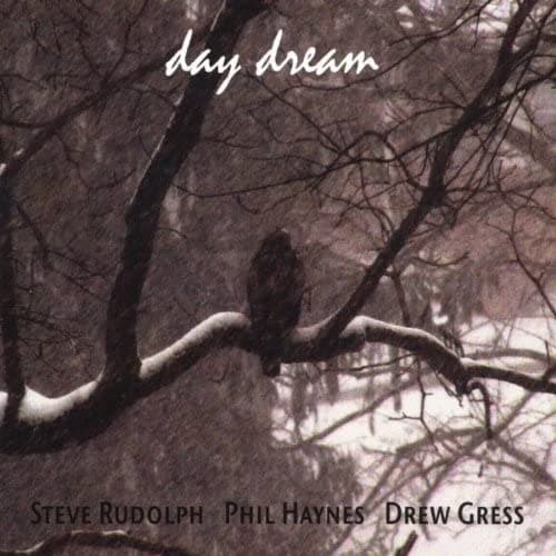 CD STEVE RUDOLPH & HAYNES; GRESS - Day Dream 1014 Japan Music Others Used