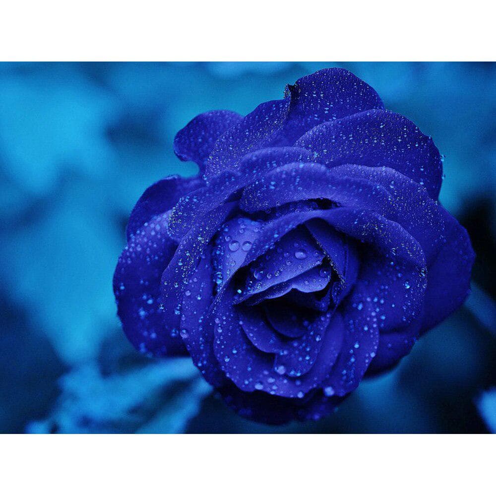 Diamond Painting Flower Blue Rose Rhinestone Cross Stitch Diamond Embroidery Flower Rhinestone 20X30CM