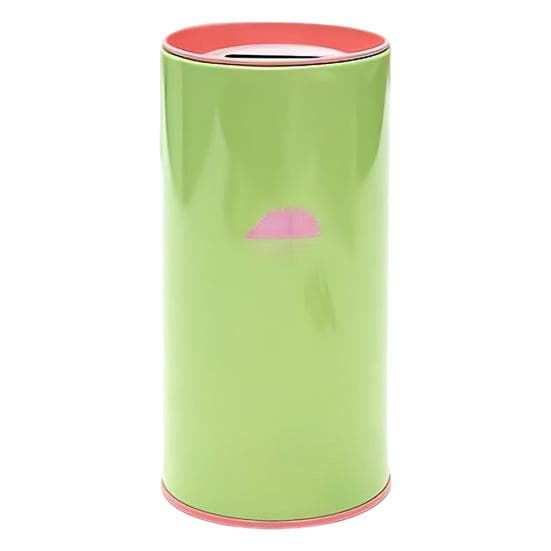 Yousheng Metal Piggy Bank Large Capacity Animal Pattern Design Kids Cylindrical Saving Bank Financial Management Tool Hedgedog