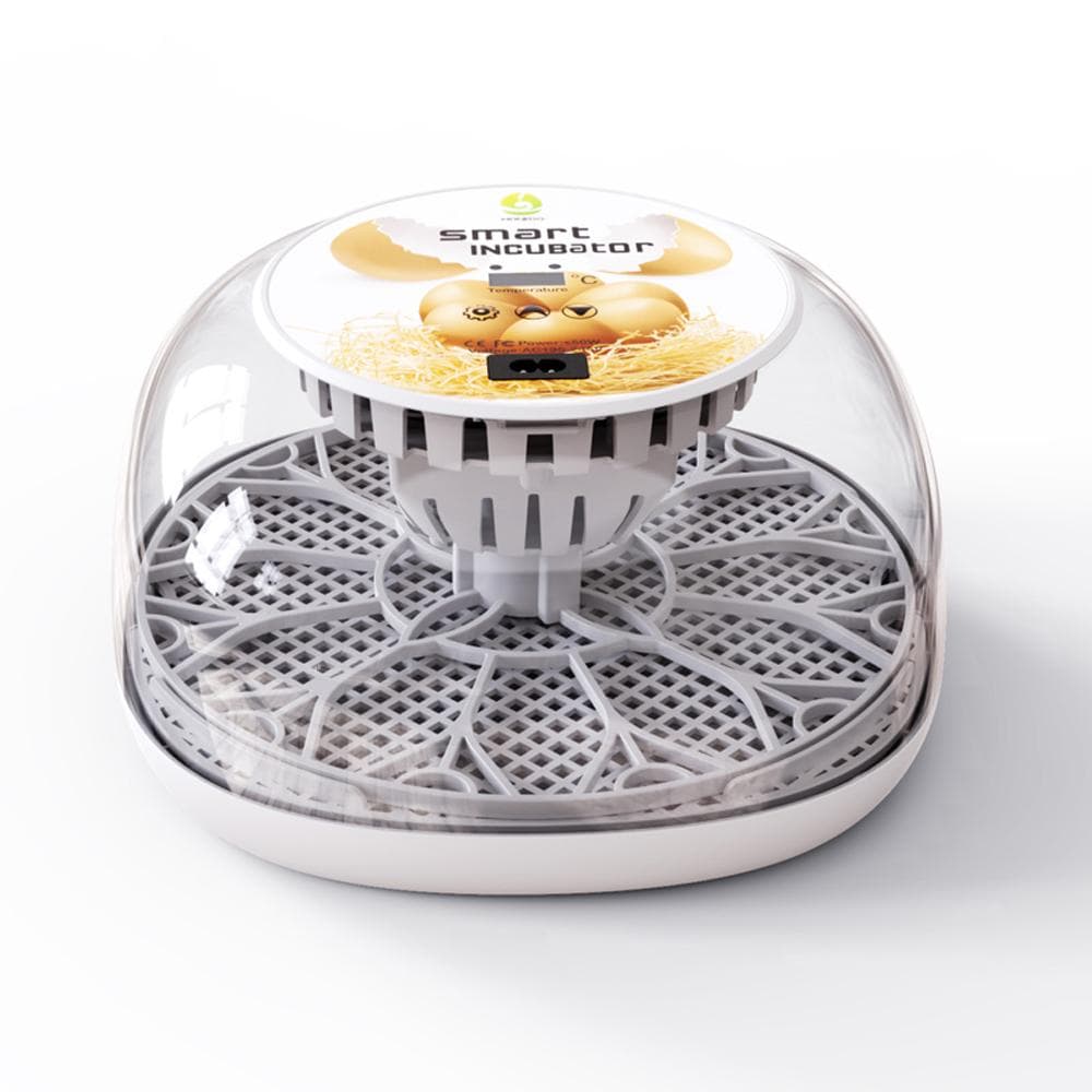Egg Incubator for Hatching with Automatic Egg Turning Led Egg Test Lamp Clear Lid Easy to Wash 12 AU Plug