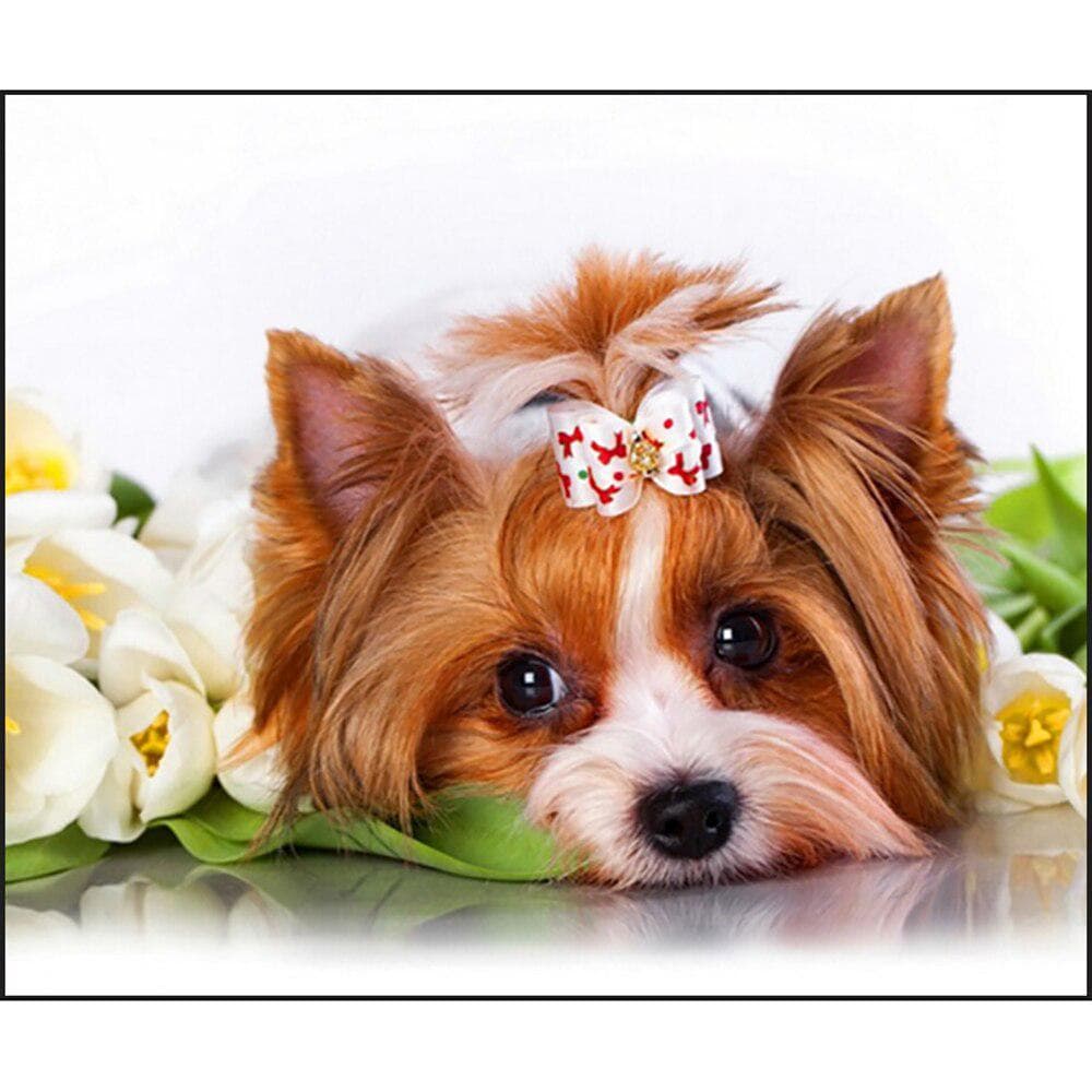 DIY 5D Diamond Painting Cross Stitch Pet dog Mosaic Diamond Embroidery Needlework 20X30CM