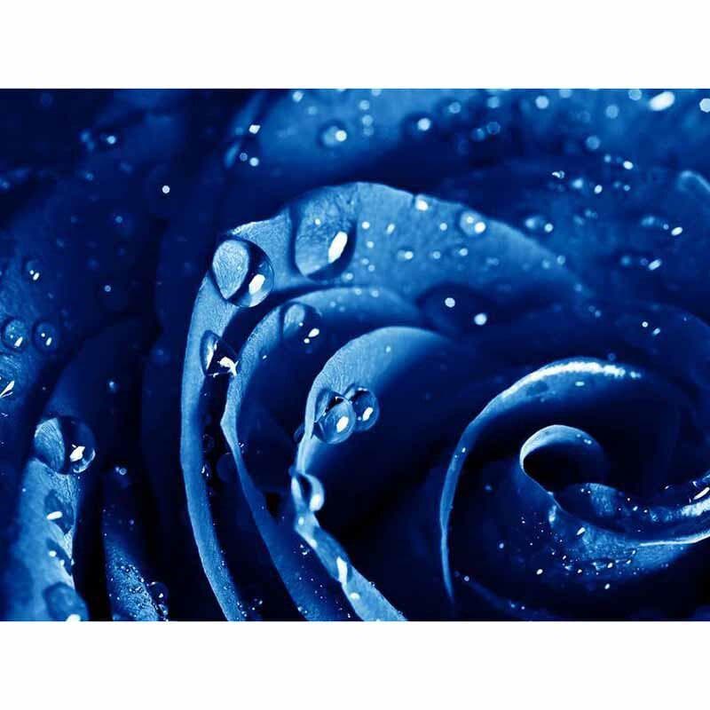 Full Round Drill Diamond Embroidery Blue Enchantress 5D DIY Diamond Painting Cross Stitch Rhinestone 20X30CM