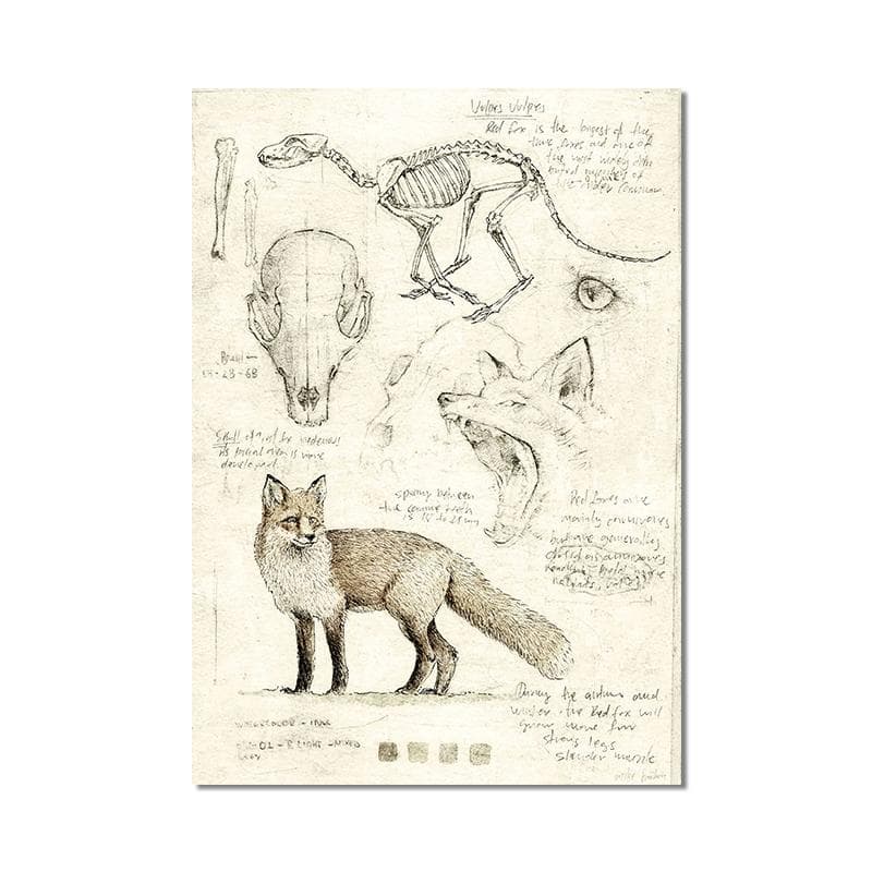 Vintage Fox Butterfly Deer Insect Note Retro Poster Mushrooms Canvas Painting Wall Art Print Wall Pictures for Living Room Decor 60x90cm No Frame