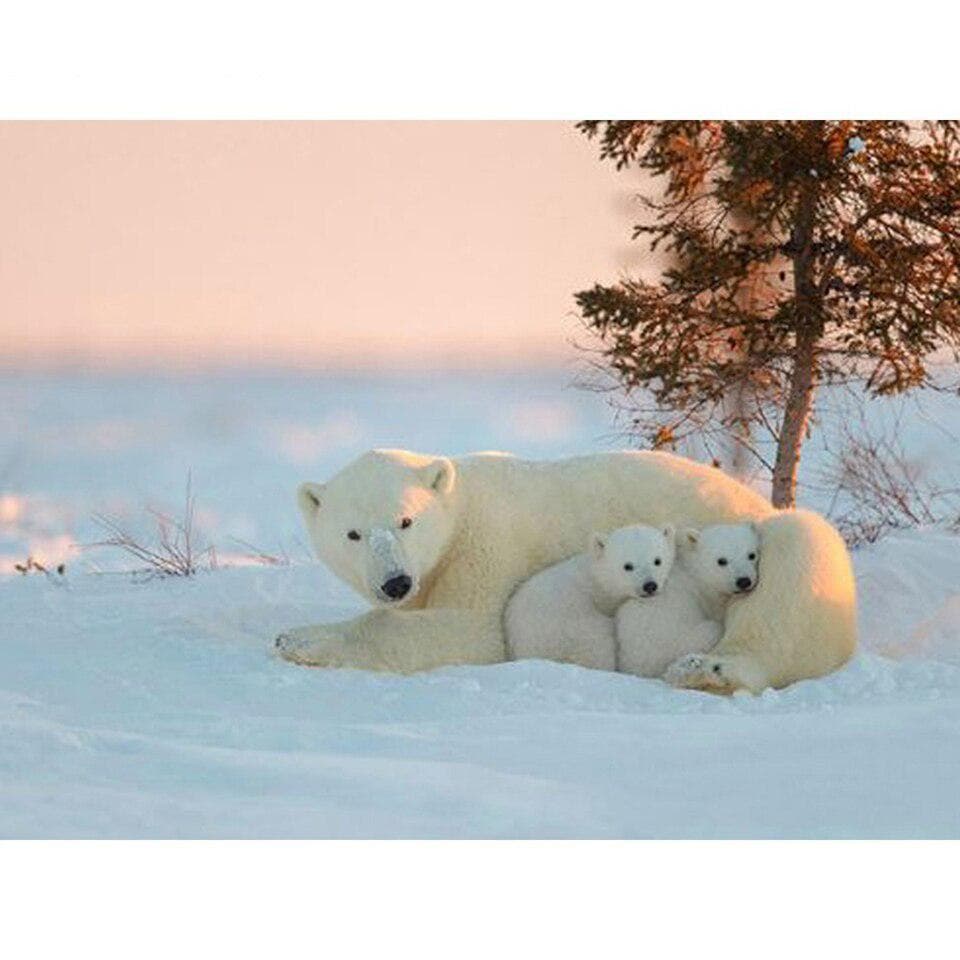 Diamond Picture Embroidery Home Decor Polar Bear Snow Scene Painting Full Drill Cross Stitch 30X40CM