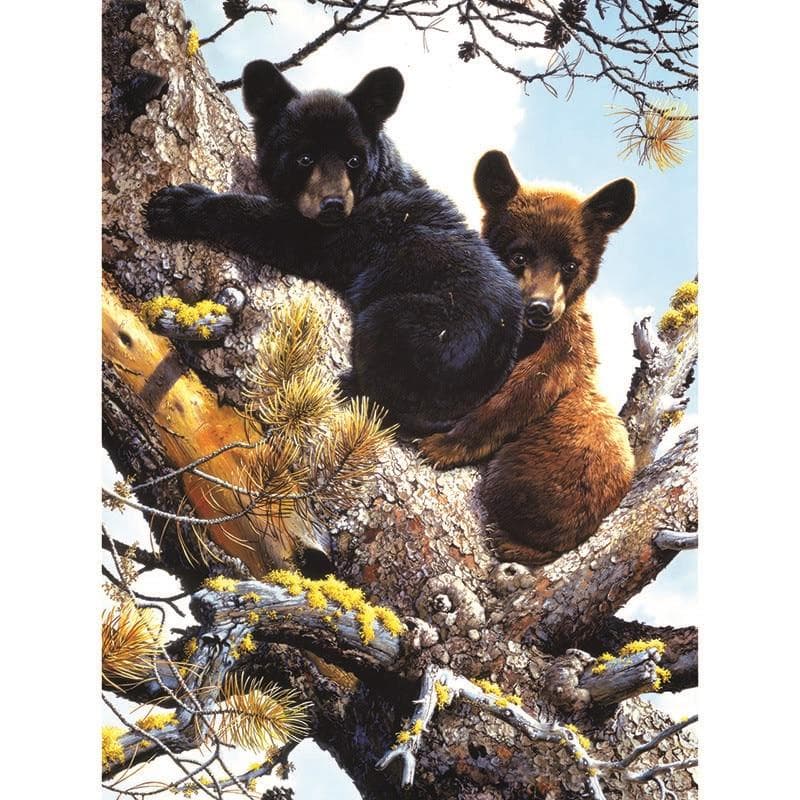 5D DIY Diamond embroidery Cross stitch Bear Diamond mosaic Full Round Diamond painting 20X30CM