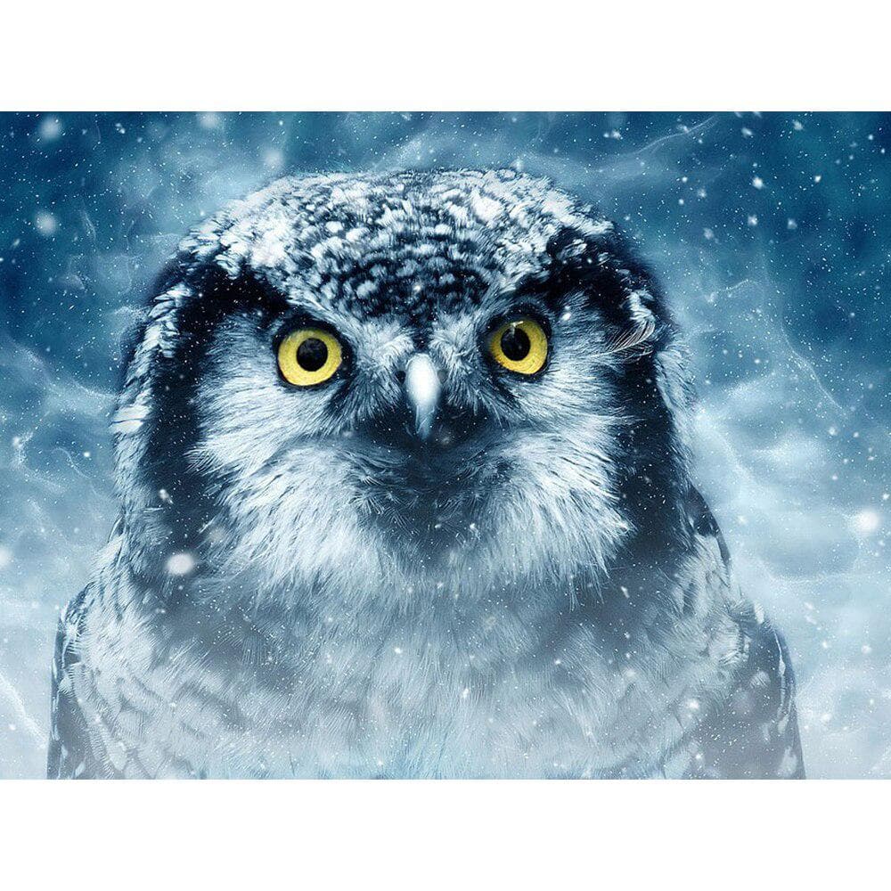 5D DIY Diamond Painting Animal Owl Full Round Drill Diamond Embroidery Animal Rhinestone Painting 20X30CM