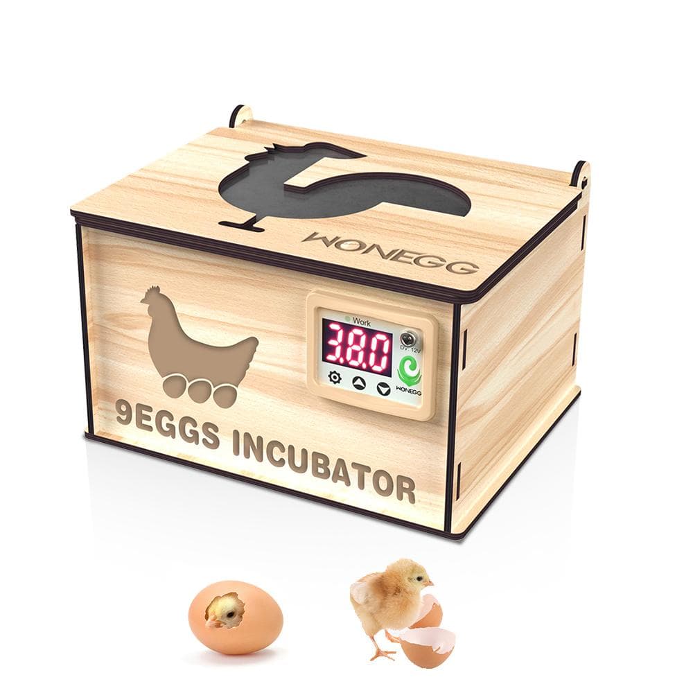 Incubators for Hatching Eggs DIY Wooden 9 Egg Incubator with Temperature Control Chicken Egg US Plug brown