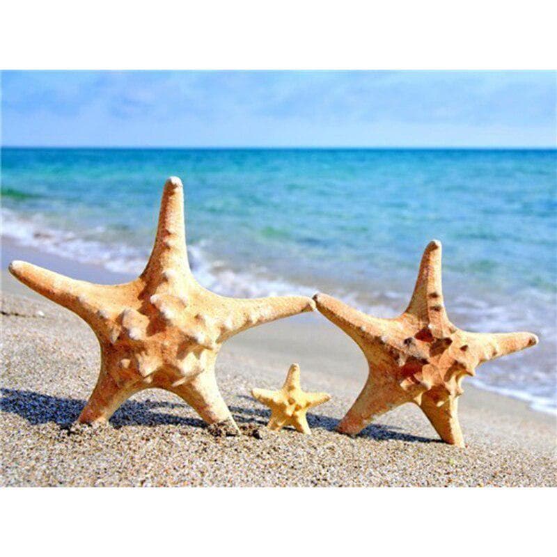 Diy 5D Diamond Painting Sea Shell Scenery Full Round Diamond Embroidery Cross Stitch 20X30CM