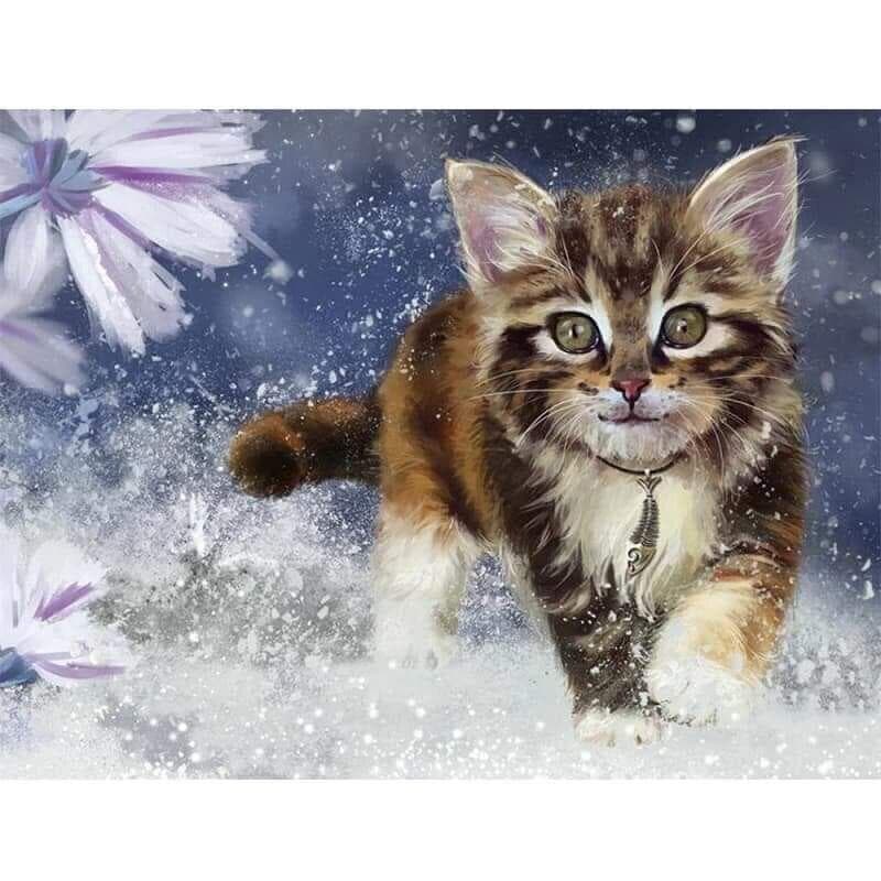 Diamond Embroidery Full Display Animal Diamond Painting Cat Picture 20X30CM
