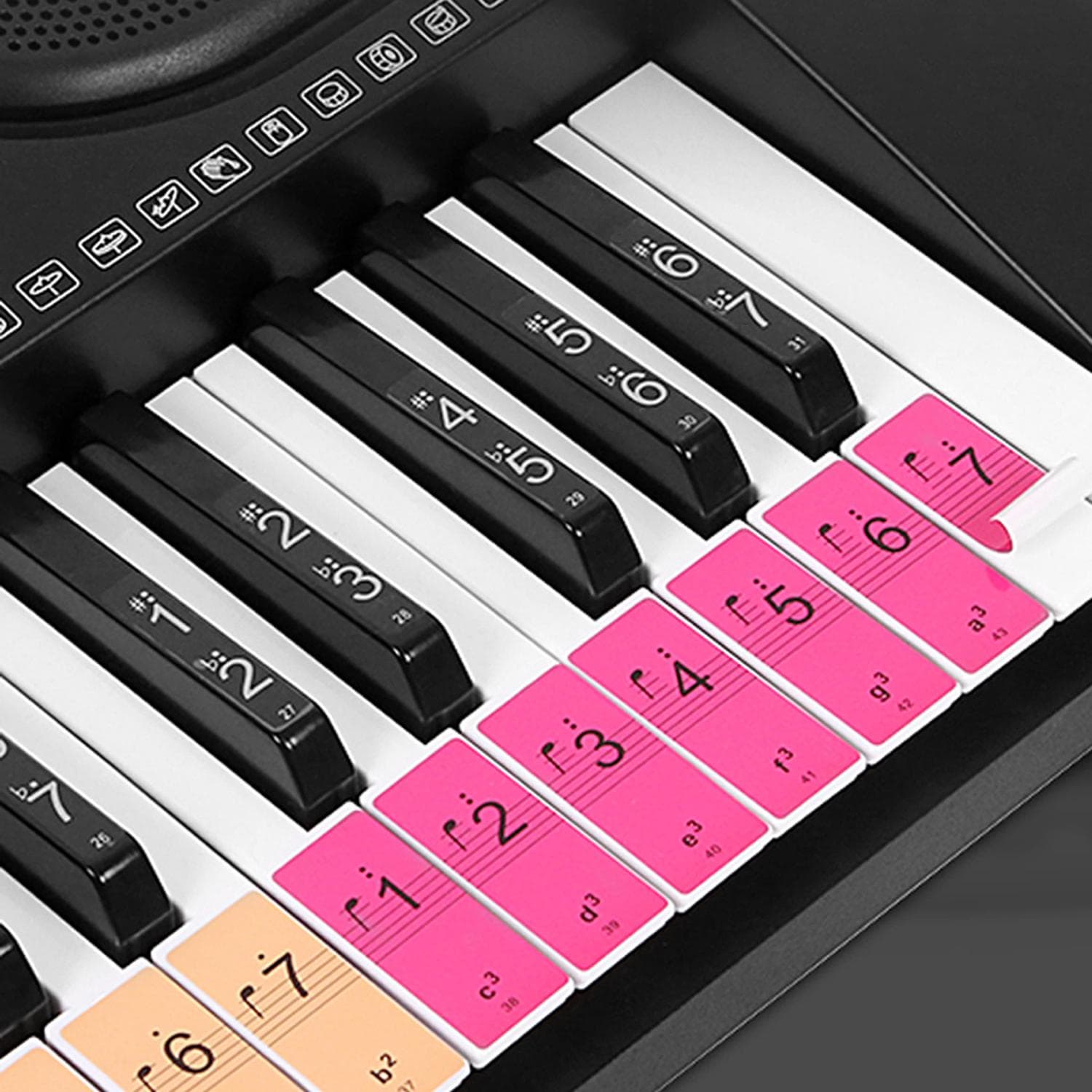 Piano Keyboard Keys Stickers for Beginners for 88/61/54 Keys Piano multicolour