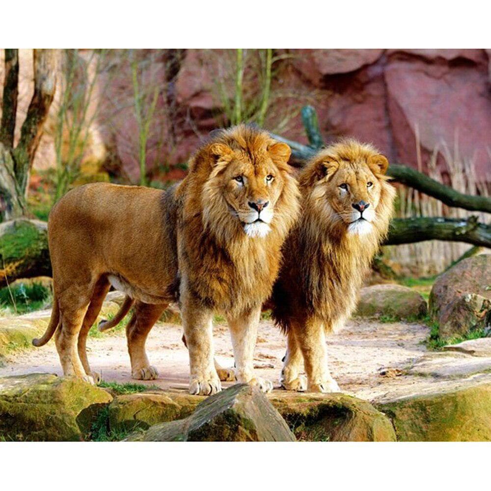 Diamond Painting Animal Lion Diamond Cross Stitch Rhinestone Painting Wedding Decor Home 20X30CM