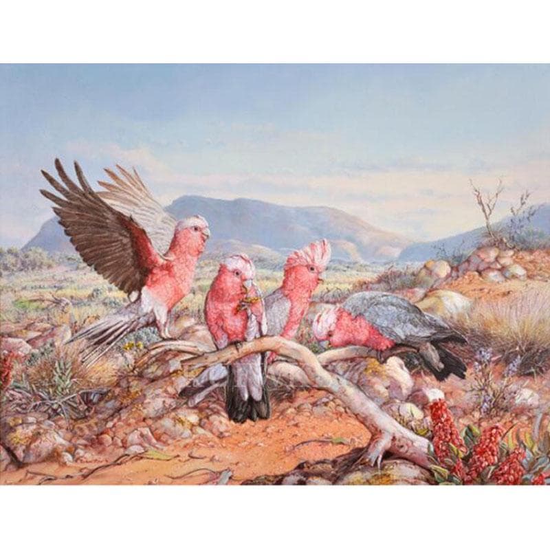 5D Diamond Embroidery Australian Parrots Diamond Painting Full Drill Round Stitch Cross 20X30CM