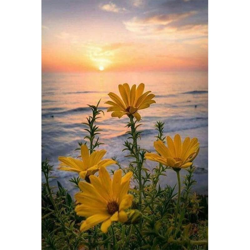 Diamond Embroidery Sunset Flower 5D DIY Diamond Painting Diamond Mosaic Pictures Home Decor 20X30CM