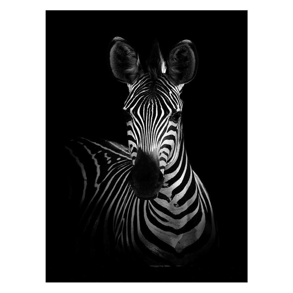 Black Africa Wildlife Animals Lion Giraffe Zebra Leopard Posters and Prints Black and White Wall Canvas Paintings Pictures Living Room Home Decor 20x30cm No Frame