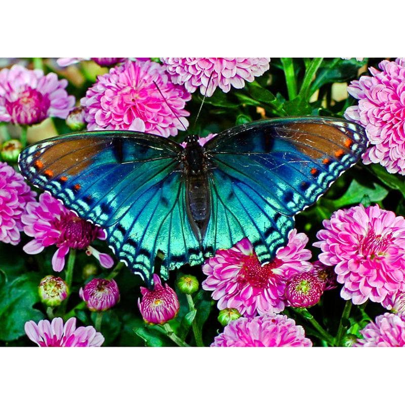 5D DIY Diamond Painting Butterflies and Flowers Embroidery Cross Stitch Rhinestone Mosaic Decoration 20X30CM