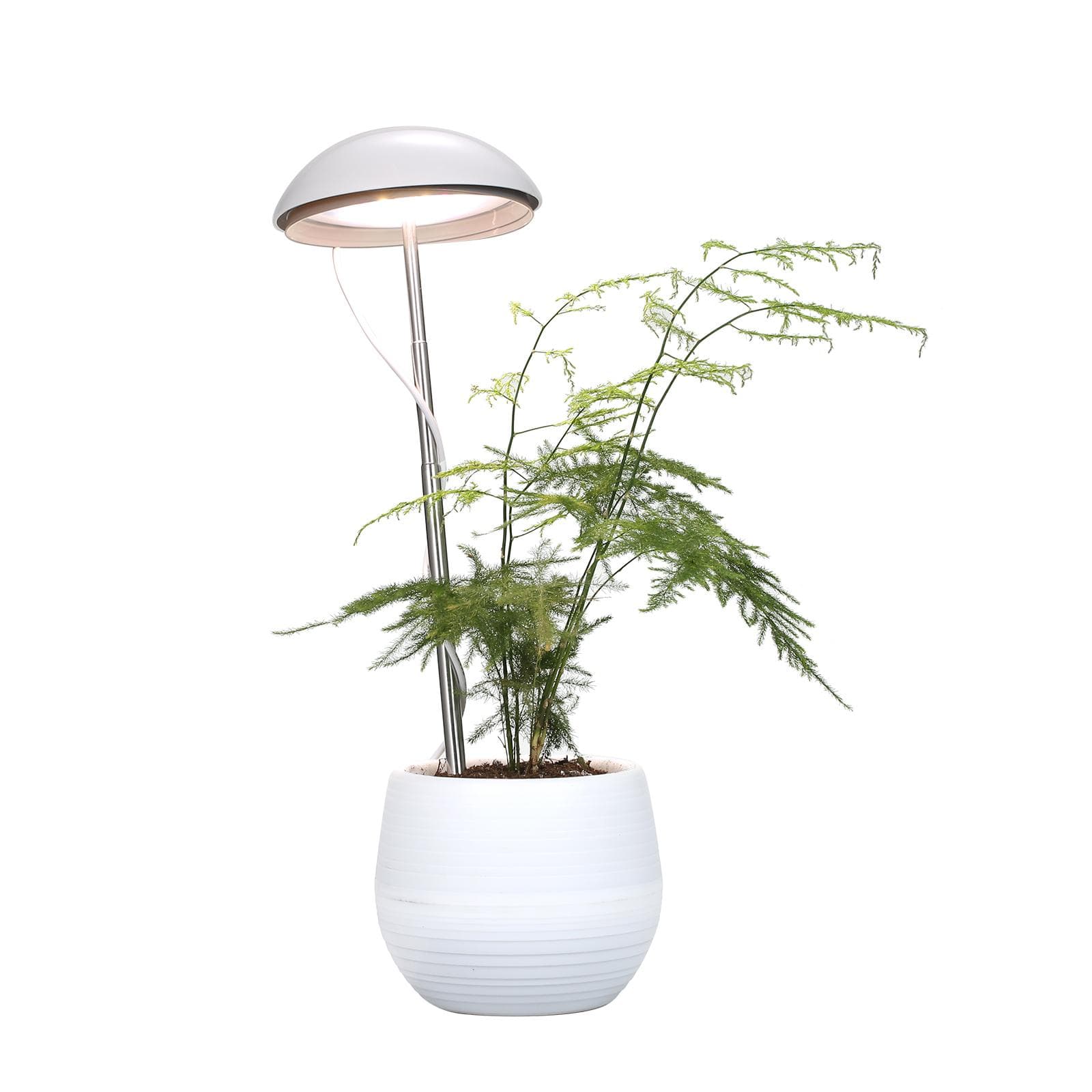 Neoglint LED Potted Plant Growing Lamp Full Spectrum Plant Grow Light Fill Light Height Adjustable white