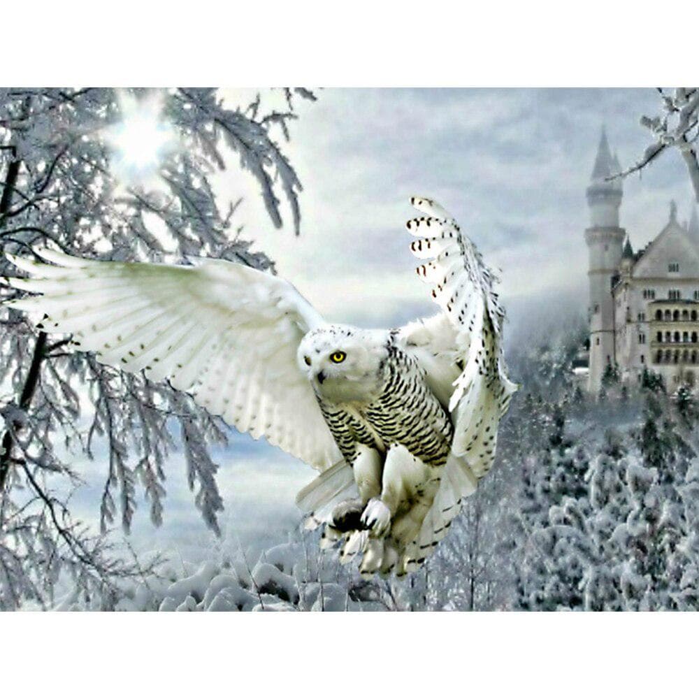 Diamond Embroidery Owl Full Round Diamond Painting Winter Animal Cross Stitch Crystal Bead Picture 20X30CM