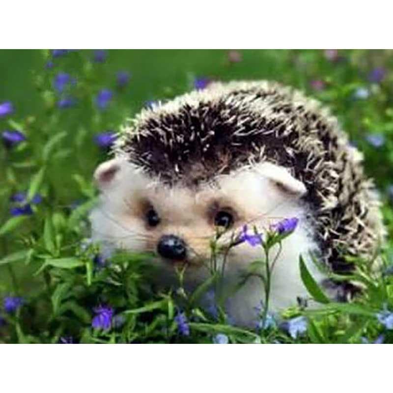 5D Diamond Painting Hedgehog Flower Diy Mosaic Diamond Embroidery Cross Stitch 20X30CM