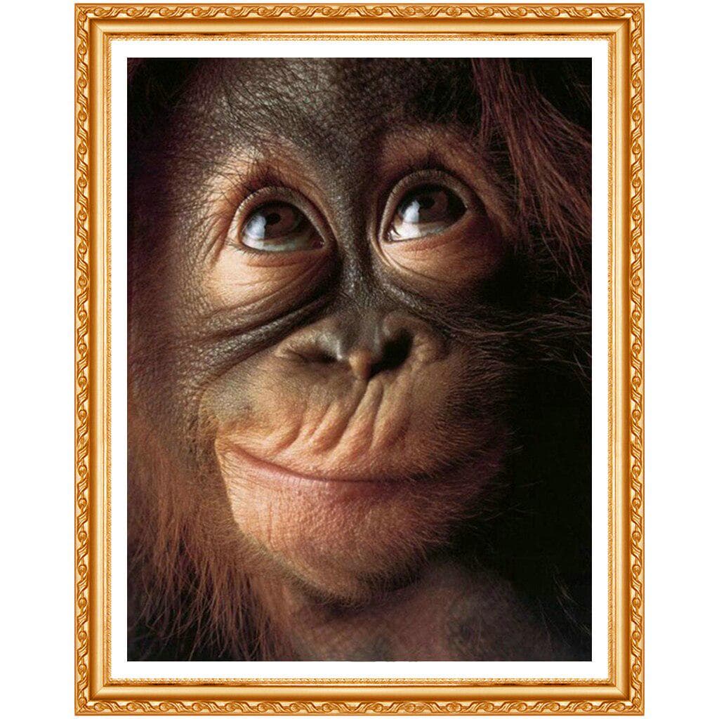 5D DIY Round Diamond Embroidery Ape Apes Orangutan Chimpanzee Monkey Diamond Painting 20X30CM
