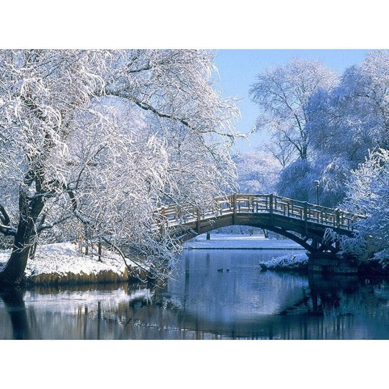 5D Diamond Painting Snow Scenery Bridge Full Round Rhinestone Picture Diamond Embroidery 20X30CM
