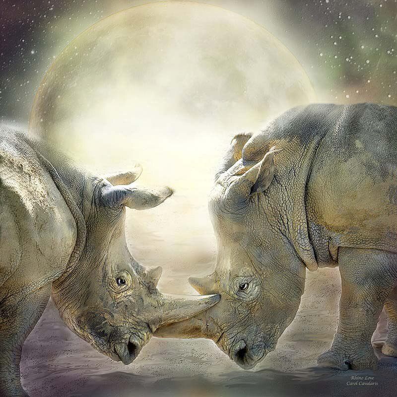 5D Diy Diamond Painting Animal Rhinoceros Cross Stitch Diamond Mosaic Craft Diamond Embroidery 30x30CM