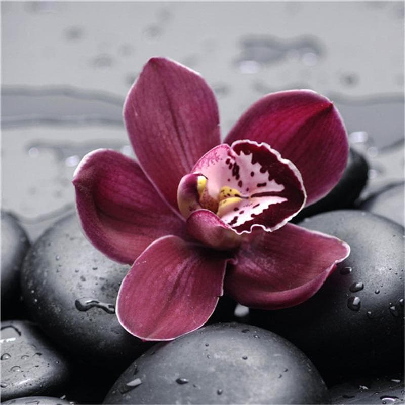 5D DIY Diamond Painting Flower Rose Cross stitch Picture of Rhinestones Decor Gift Embroidery 30X30CM