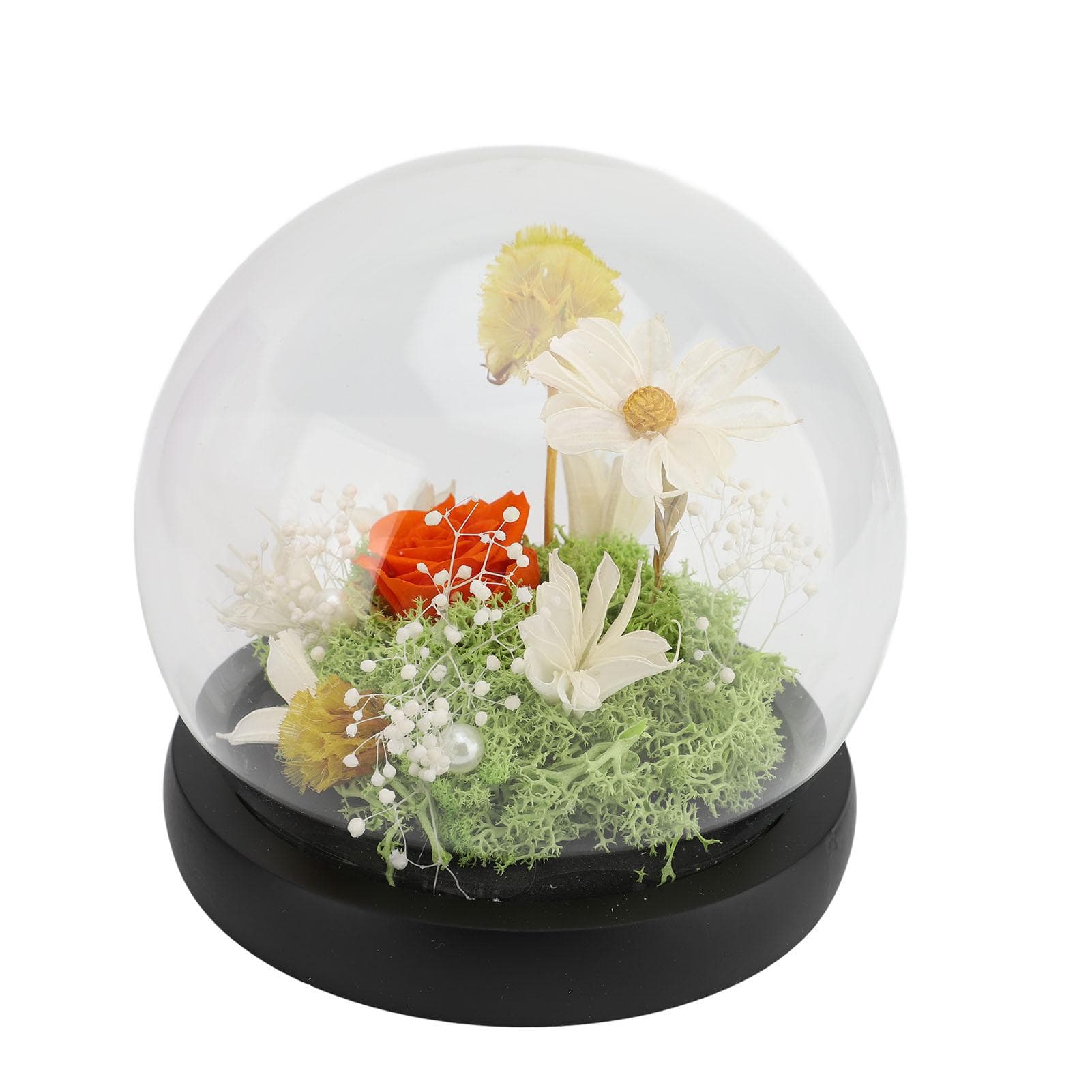 Eternal Flower in Glass Dome Exquisite Romantic LED Light Up Preserved Flower in Glass Dome Type 5